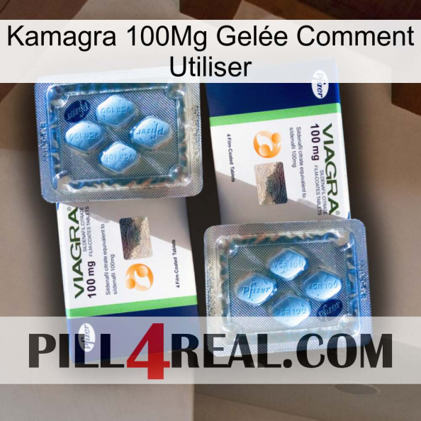 Kamagra 100Mg Gelée Comment Utiliser viagra5.jpg